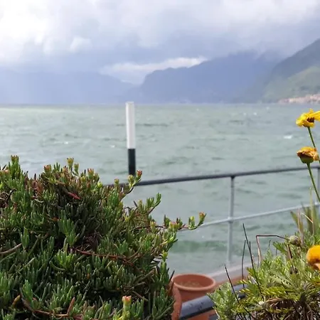 La Magnolia Guests House فندق مبيت وإفطار