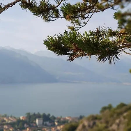 La Magnolia Guests House