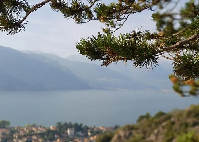 La Magnolia Guests House