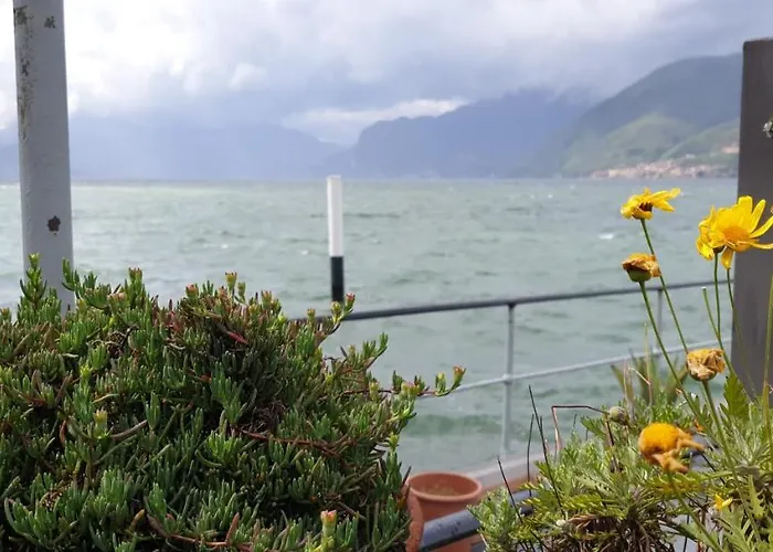 La Magnolia Guests House Отель типа 